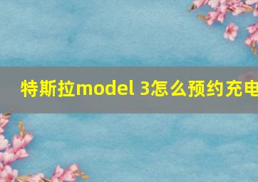 特斯拉model 3怎么预约充电